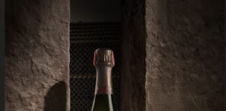 JUVÉ&CAMPS RESERVA DE LA FAMILIA V36: UNA JOYA ENOLÓGICA