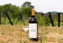 NUEVA AÑADA DE VIÑA CAEIRA 2023, EL ALBARIÑO DE MATARROMERA