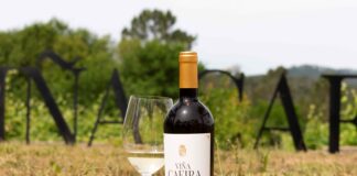 NUEVA AÑADA DE VIÑA CAEIRA 2023, EL ALBARIÑO DE MATARROMERA