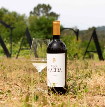 NUEVA AÑADA DE VIÑA CAEIRA 2023, EL ALBARIÑO DE MATARROMERA
