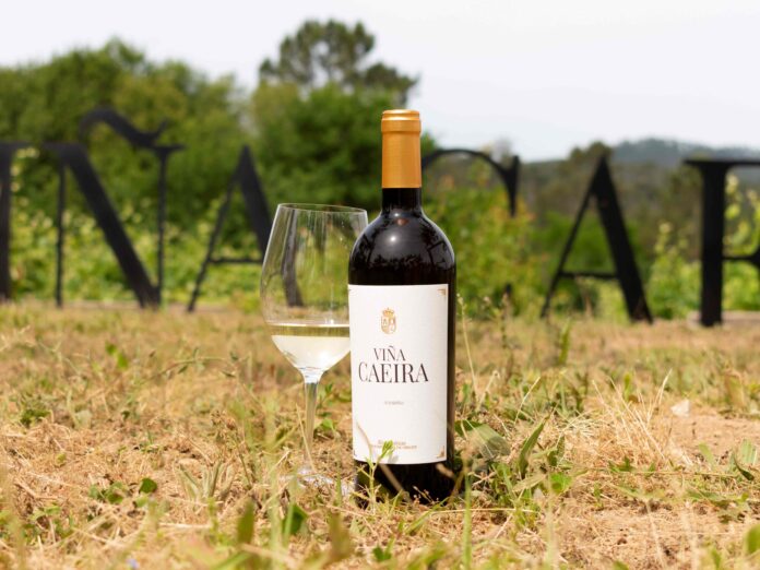 Matarromera Viña caeira 2023 (002)