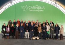 D.O. CARINENA EL VINO QUE NACE DE LAS PIEDRAS