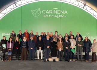 D.O. CARINENA EL VINO QUE NACE DE LAS PIEDRAS