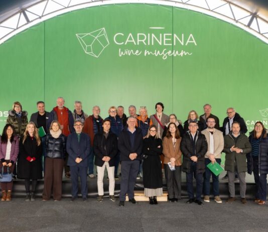 D.O. CARINENA EL VINO QUE NACE DE LAS PIEDRAS