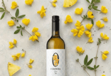 VIÑA COSTEIRA PRESENTA SU ALTERNATIVA SIN ALCOHOL