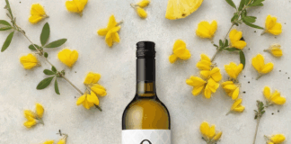 VIÑA COSTEIRA PRESENTA SU ALTERNATIVA SIN ALCOHOL