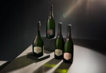 NOVEDADES GRUPO FREIXENET