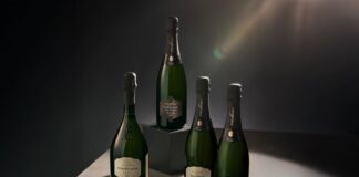 NOVEDADES GRUPO FREIXENET