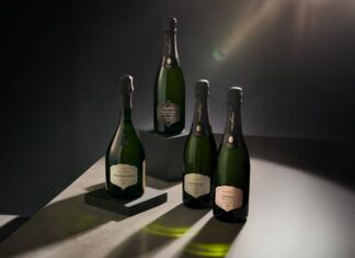 NOVEDADES GRUPO FREIXENET