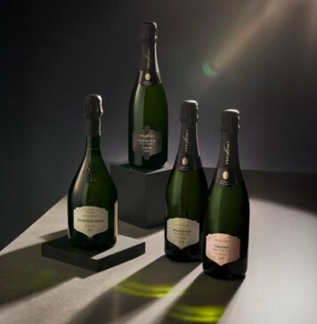 NOVEDADES GRUPO FREIXENET