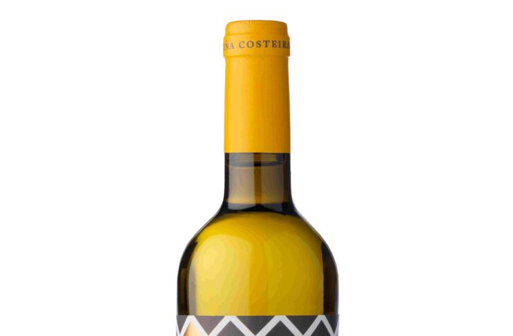 COSTEIRA TREIXADURA 2024, D.O. RIBEIRO