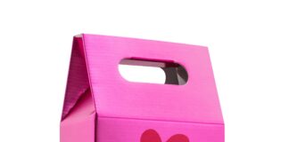 AGATHA RUIZ DE LA PRADA BORSAO