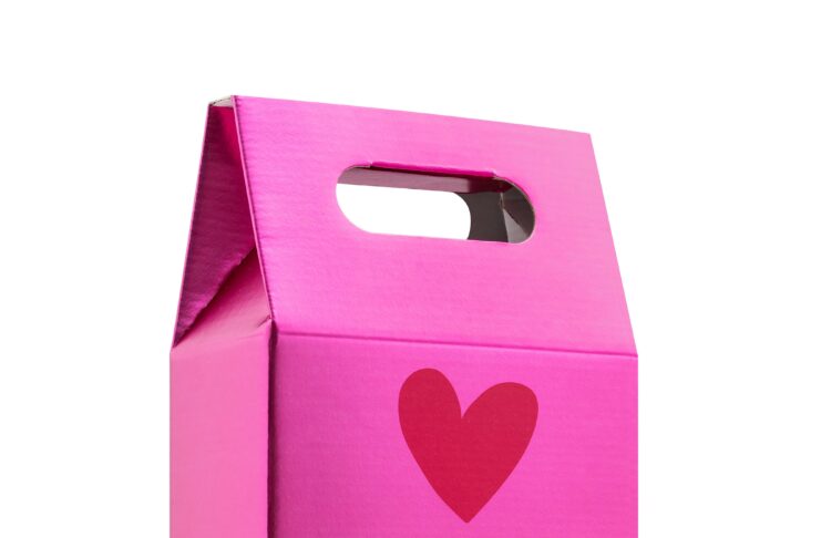 AGATHA RUIZ DE LA PRADA BORSAO