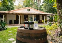 RON DIPLOMÁTICO (RON DE VENEZUELA)