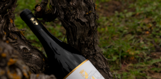 CM MATARROMERA ESTRENA AÑADA 2021