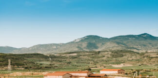 BODEGA CM MATARROMERA MEJOR PROYECTO DE ENOTURISMO