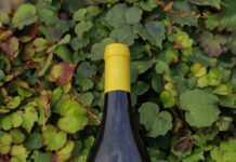 PAZO DE LA CUESTA LANZA LA PASTORIZA 2023, DO RIBEIRA SACRA