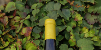 PAZO DE LA CUESTA LANZA LA PASTORIZA 2023, DO RIBEIRA SACRA