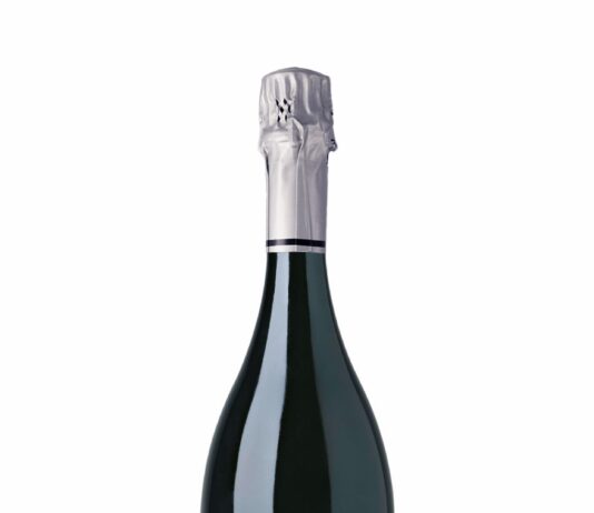 TANTUM ERGO CHARDONNAY-PINOT NOIR 2022, D.O. CAVA