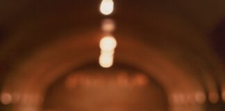 JEAN LEON LANZA AL MERCADO “THE WINE LIBRARY COLLECTION”