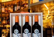 MALLEOLUS DE BODEGAS EMILIO MORO DESFILA JUNTO A PABLO ERROZ