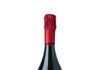 TANTUM ERGO PINOT NOIR 2022, D.O. CAVA