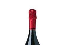 TANTUM ERGO PINOT NOIR 2022, D.O. CAVA