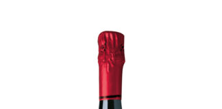 TANTUM ERGO PINOT NOIR 2022, D.O. CAVA