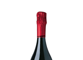 TANTUM ERGO PINOT NOIR 2022, D.O. CAVA
