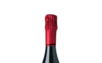 TANTUM ERGO PINOT NOIR 2022, D.O. CAVA