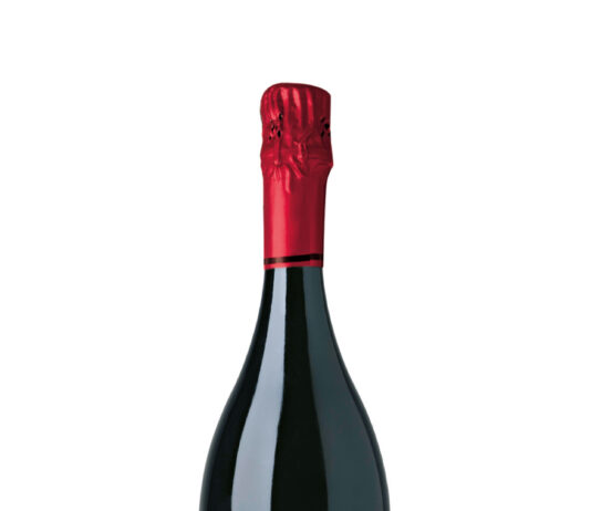 TANTUM ERGO PINOT NOIR 2022, D.O. CAVA