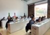 CATA DE CALIFICACIÓN DE LA AÑADA 2025 EN LA DO JUMILLA