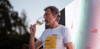 MANUEL CASTRO DE VIÑA COSTEIRA MEJOR ENÓLOGO DE ESPAÑA