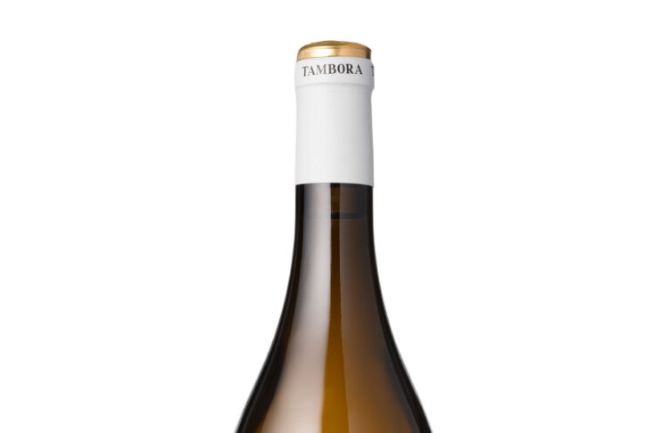 TAMBORÁ GODELLO 2024, D.O. RIBEIRO