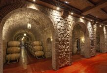 VINTAE AL RESCATE DE BODEGAS RIOJANAS
