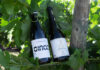 LOS VINOS DE CM MATARROMERA TRIUNFAN EN DECANTER