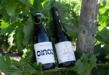 LOS VINOS DE CM MATARROMERA TRIUNFAN EN DECANTER