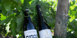 LOS VINOS DE CM MATARROMERA TRIUNFAN EN DECANTER