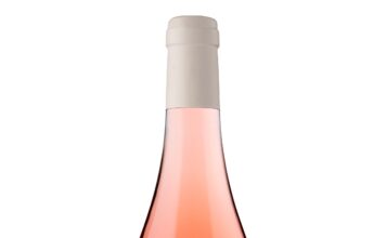 PROTOS PARCELA DE SALLANA 2024, D.O. CIGALES