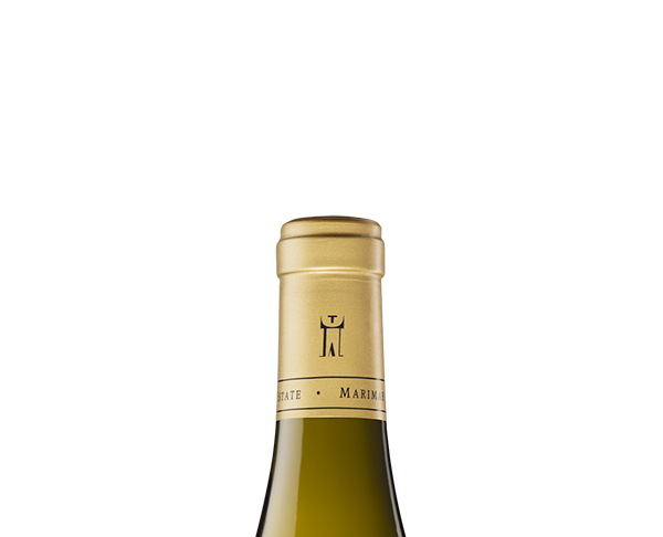 MARIMAR ESTATE BRILLA EN LOS DECANTER WORLD WINE AWARDS 2026