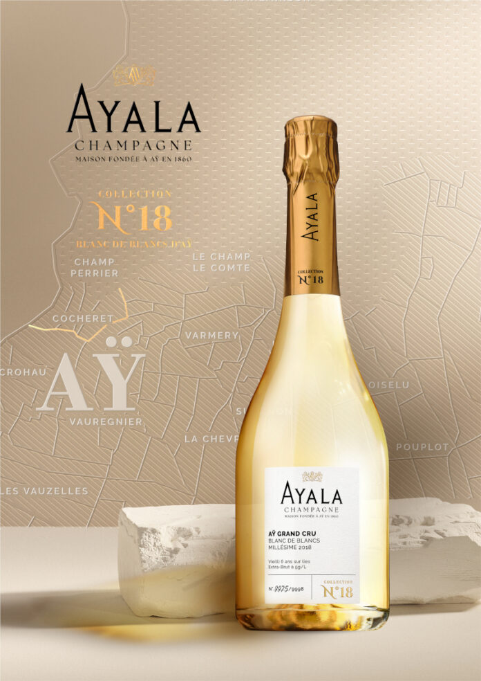 AYALA Collection N.º 18_ FOTO PRINCIPAL