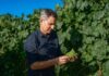 BODEGAS SANTIAGO RUIZ HACE BALANCE DE SU VENDIMIA 2026