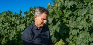 BODEGAS SANTIAGO RUIZ HACE BALANCE DE SU VENDIMIA 2026