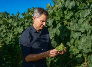 BODEGAS SANTIAGO RUIZ HACE BALANCE DE SU VENDIMIA 2026