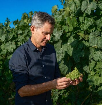 BODEGAS SANTIAGO RUIZ HACE BALANCE DE SU VENDIMIA 2026