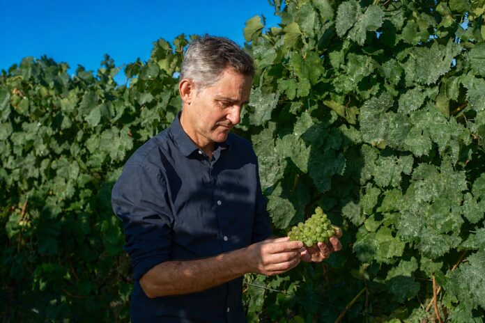 LAN Chema Ureta Director Técnico de Bodegas Santiago Ruiz 1 (002)