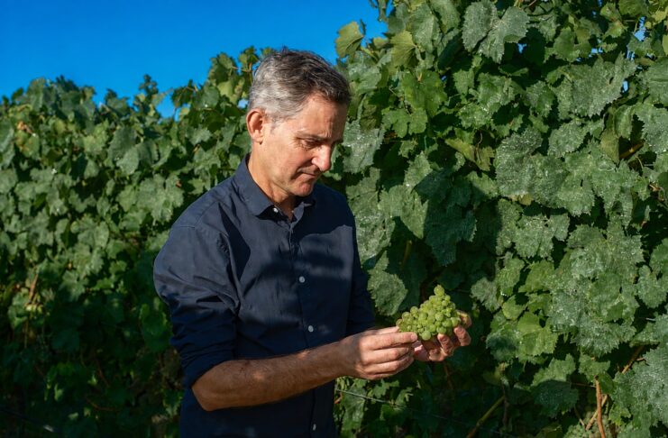 BODEGAS SANTIAGO RUIZ HACE BALANCE DE SU VENDIMIA 2026