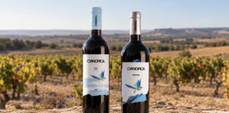 CYANOPICA, LA NUEVA GAMA DE BODEGA CYAN
