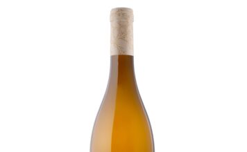 PALACIO DE VILLACHICA BLANCO VENDIMIA SELECCIONADA 2025, D.O.Ca RIOJA