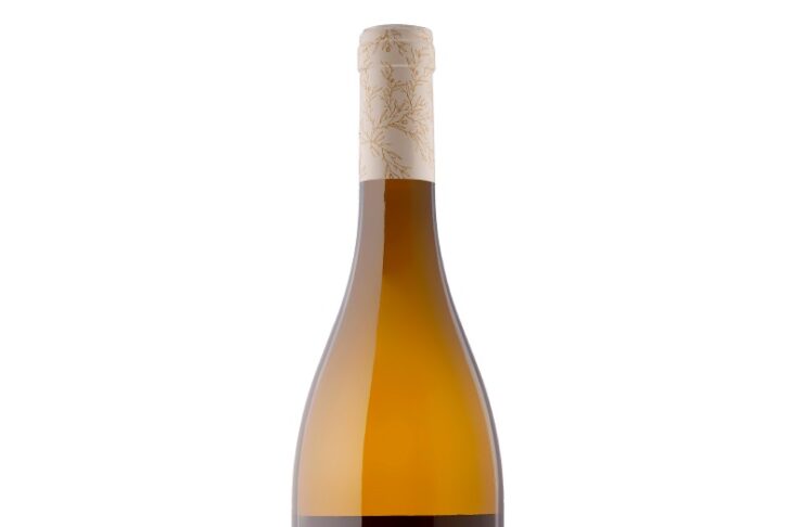 PALACIO DE VILLACHICA BLANCO VENDIMIA SELECCIONADA 2025, D.O.Ca RIOJA